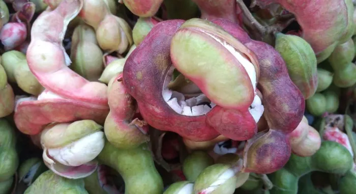 Kodukkapuli Selling