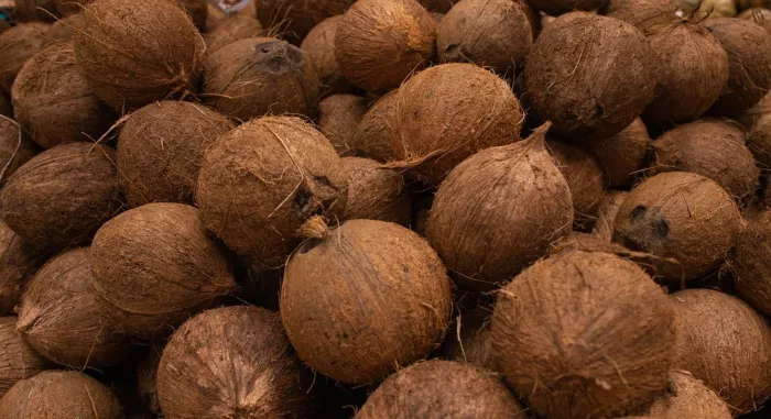 Coconut Price Hiked In Market