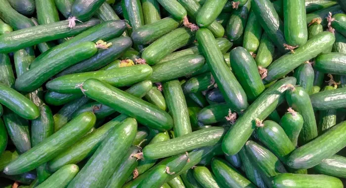 Cucumber Selling Ideas