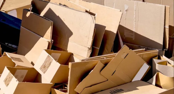 Carton Scrap Business Ideas