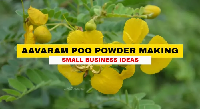 Aavaram Poo Powder Selling Business