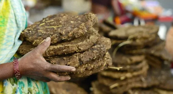 Eco-Friendly Products Business Using Cow Dung -