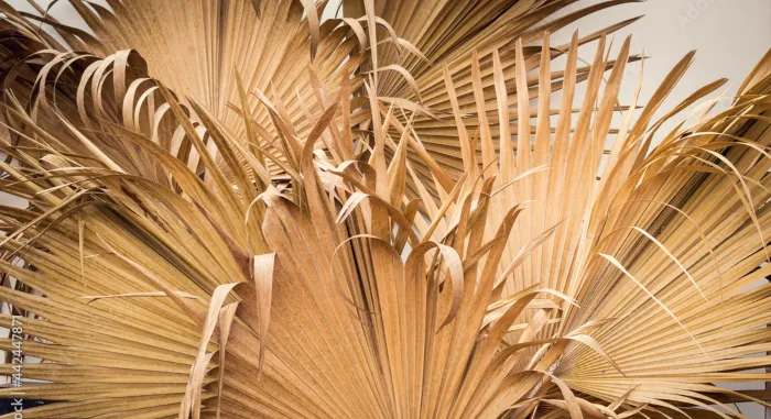 Palm Leaf Selling Ideas