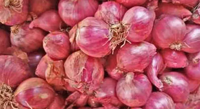 Small Onion Benefits