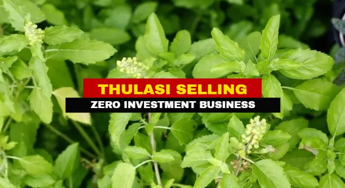 Thulasi Selling Ideas Tamil