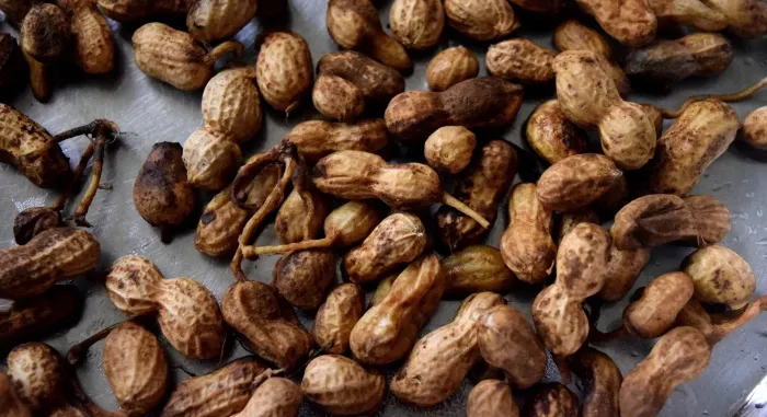 Boiled Peanut Business Ideas