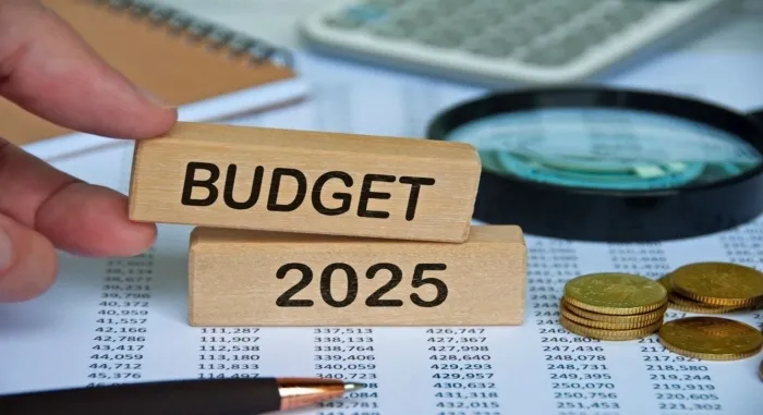 TAX Cut In Budget 2025