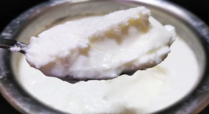 Curd And Butter Milk Selling Ideas Tamil