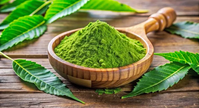 Neem Powder Making Business